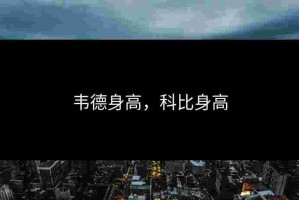 韦德身高，科比身高