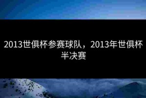 2013世俱杯参赛球队，2013年世俱杯半决赛
