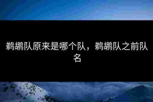 鹈鹕队原来是哪个队，鹈鹕队之前队名