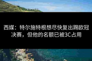 西媒：特尔施特根想尽快复出踢欧冠决赛，但他的名额已被3C占用