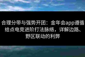 合理分带与强势开团：金年会app遵循给点电竞进阶打法脉络，详解边路、野区联动的利弊