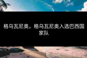 格乌瓦尼奥，格乌瓦尼奥入选巴西国家队