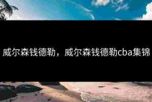 威尔森钱德勒，威尔森钱德勒cba集锦